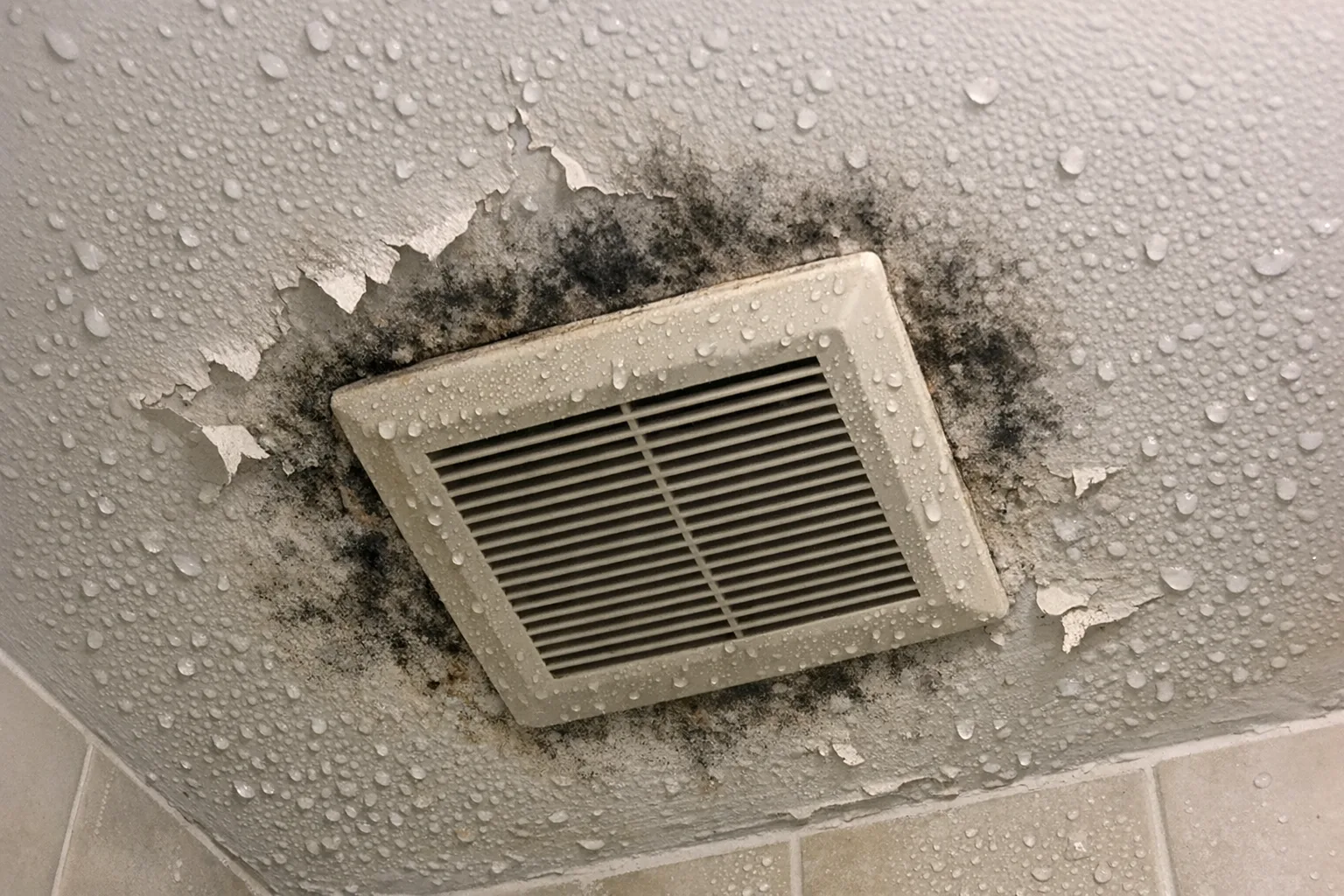 Mold Remediation Costs in 2026: The $500 Problem That Becomes a $30,000 Nightmare